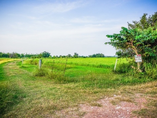 N0602577, ขาย ที่ดิน วังตะโก บางจาก เพชรบุรี เนื้อที่ 8 ไร่ 43.40 ตารางวา ทำเลดี ใกล้ถนนเพชรเกษม แม็คโครเพชรบุรี