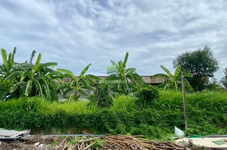 ที่ดินบางใหญ่ นนทบุรี 