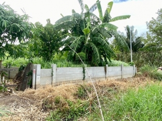 ที่ดินบางใหญ่ นนทบุรี 