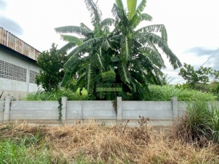 ที่ดินบางใหญ่ นนทบุรี 