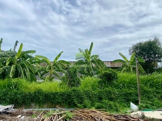 ที่ดินบางใหญ่ นนทบุรี 