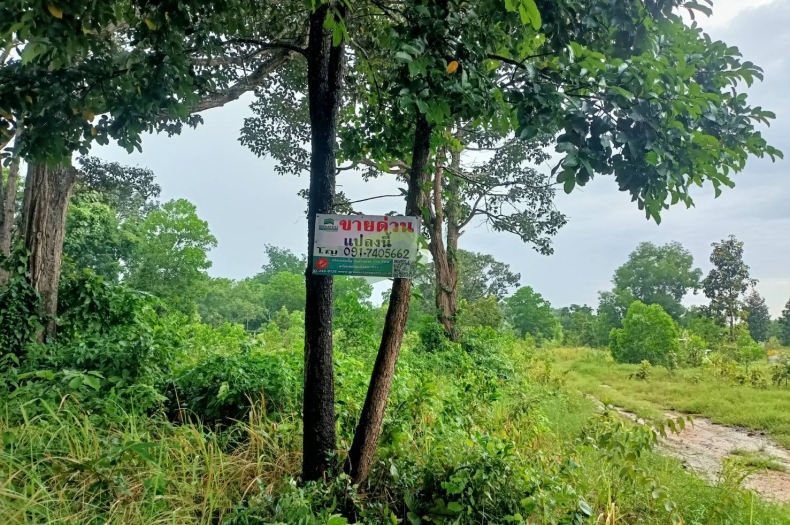 ขายที่ดิน กบินทร์บุรี ปราจีนบุรี เนื้อที่ 1-1-8.60 ไร่ ทำเลดี ราคาไม่แพง ใกล้อบต.นาแขม