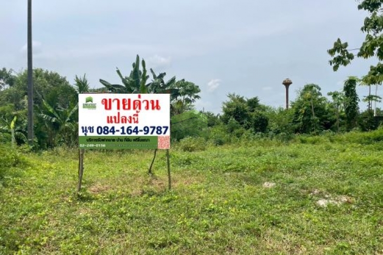 ขายที่ดินปากพูน นครศรีธรรมราช เนื้อที่ 44.90 ตร.ว แปลงสวย ทำเลดี ใกล้ค่ายวชิราวุธ