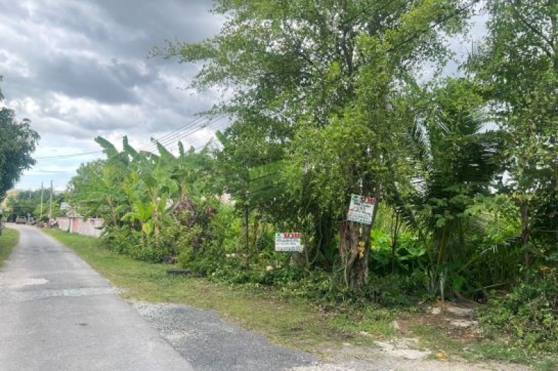 ขายที่ดินเปล่า จันทร์ทองเอี่ยม บางกรวย-ไทรน้อย เนื้อที่ 1-3-36 ไร่ ทำเลดี เหมาะทำธุรกิจ ติดถนน ใกล้รถไฟฟ้า