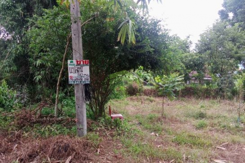 ขายที่ดินซอยเวฬุวัน2 เมือง ยะลา เนื้อที่ 183 ตารางวา แปลงสวย ทำเลดี ใกล้ตัวเมืองยะลา