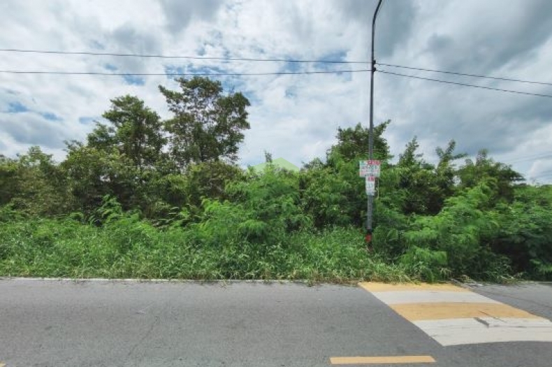 ขายที่ดินคลอง 9 ธัญบุรี ปทุมธานี เนื้อที่ 3 -2-16 ไร่ ทำเลดี เหมาะปลูกบ้านพักอาศัย ที่ดินจัดสรร