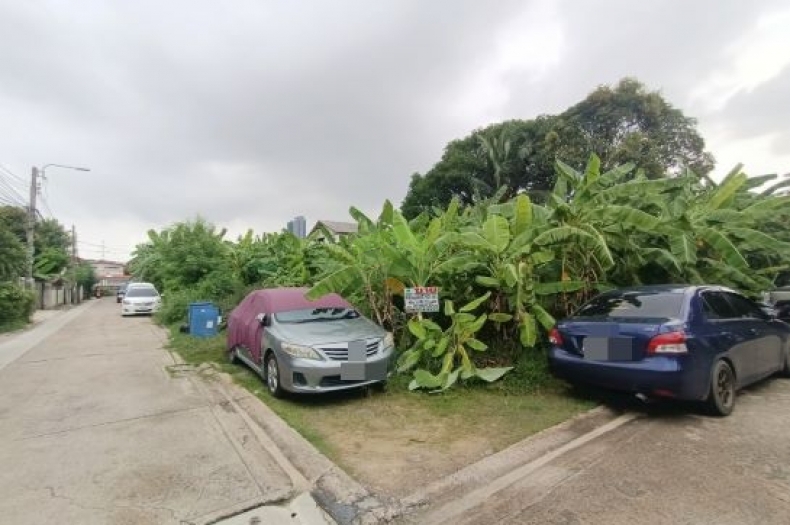 ขายที่ดินแปลงมุม เนื้อที่ 50 ตารางวา ซอยนนทบุรี 12 แยก 8 ชุมชนไพลินพัฒนา ทำเลทองใจกลางนนทบุรี ใกล้รถไฟฟ้าสายสีม่วง ราคาพิเศษสุดๆ