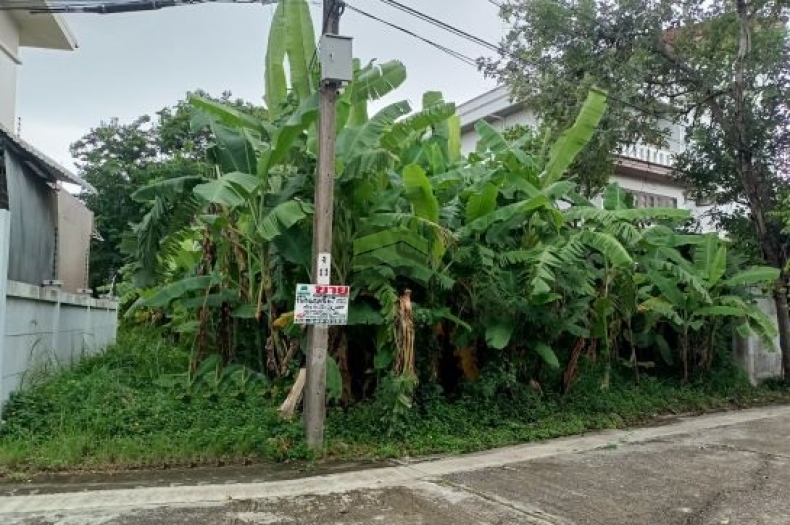 ขาย ที่ดินเปล่าพร้อมปลูกบ้าน ทำเลทอง ย่านรามคำแหง หมู่บ้านธารารมณ์ รามคำแหง 150 เนื้อที่ 67 ตร.ว บรรยากาศร่มรื่น ใกล้รถไฟฟ้าสายสีส้ม