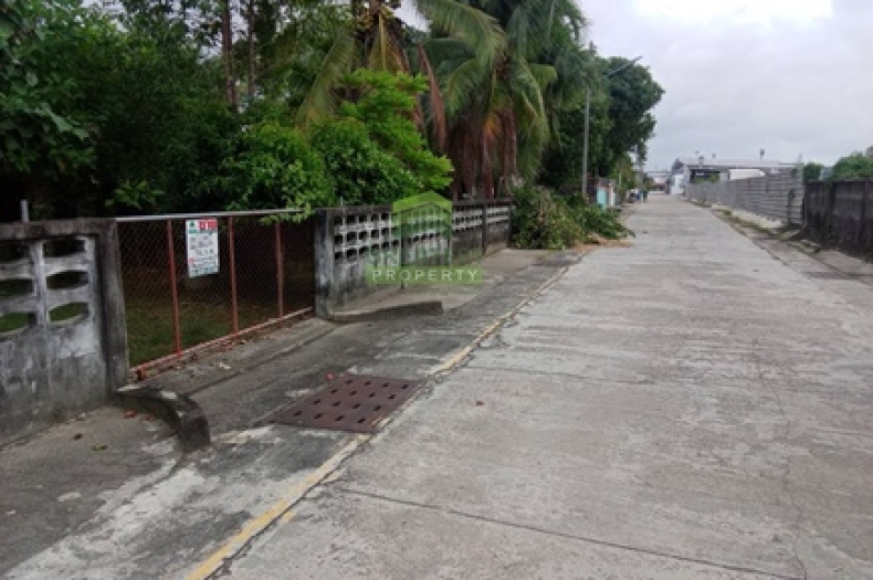 ที่ดินบางนาค นราธิวาส 