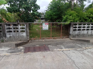 ที่ดินบางนาค นราธิวาส 