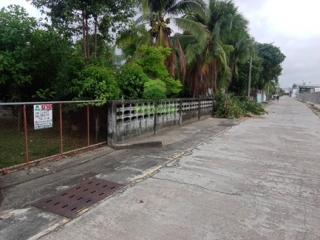 ที่ดินบางนาค นราธิวาส 