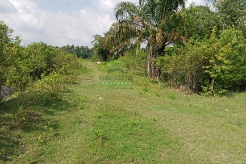 ที่ดินสวนปาล์ม บ้านปากพูน นครศรีธรรมราช