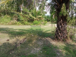 ที่ดินสวนปาล์ม บ้านปากพูน นครศรีธรรมราช