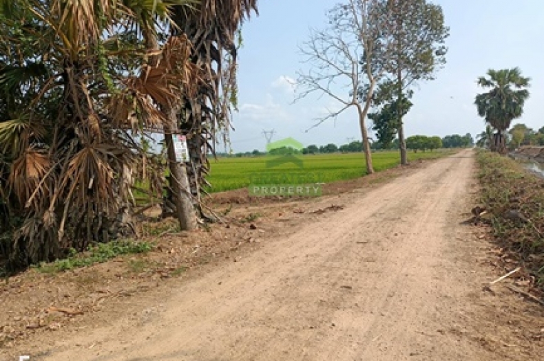 ที่ดินคลอง 8 หนองเสือ 
