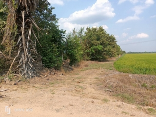 ที่ดินคลอง 8 หนองเสือ 