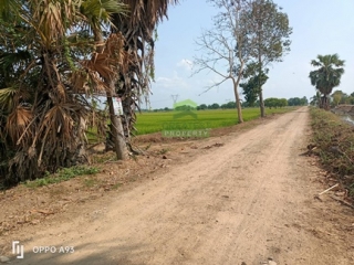 ที่ดินคลอง 8 หนองเสือ 