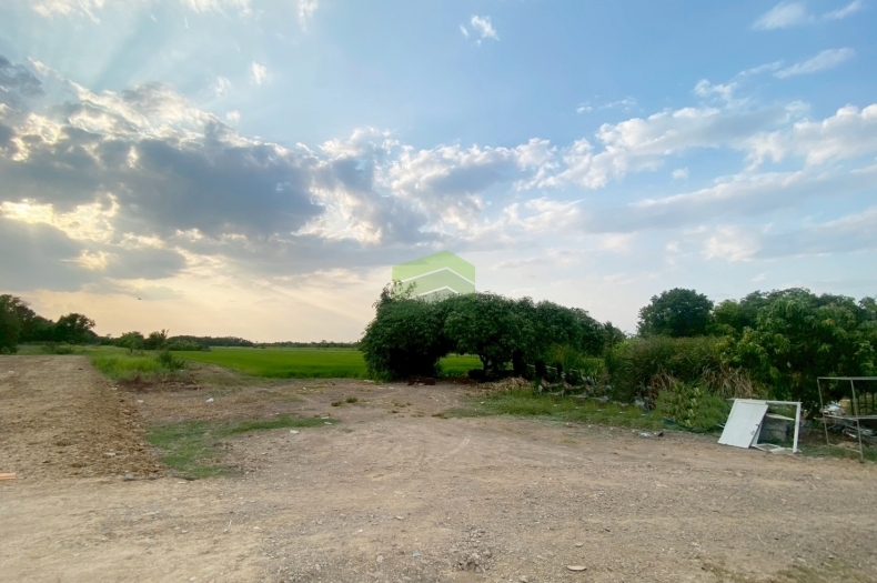 ขายที่ดินหนองเสือ คลอง14 ปทุมธานี 18 ไร่ ทำเลดี เหมาะปลูกบ้าน ที่ดินจัดสรร ราคาต่อรองได้