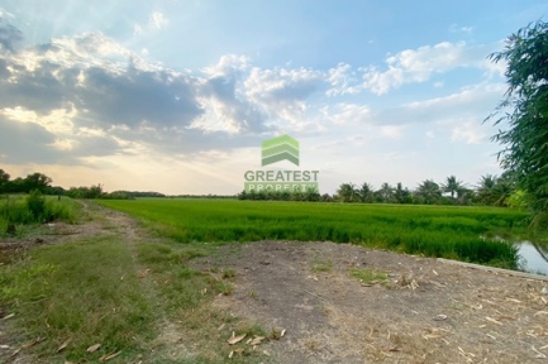 ที่ดินหนองเสือ คลอง14 ปทุมธานี