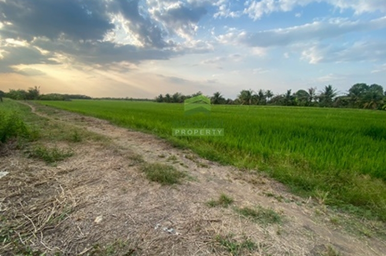 ที่ดินหนองเสือ คลอง14 ปทุมธานี