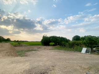 ที่ดินหนองเสือ คลอง14 ปทุมธานี