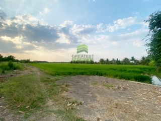 ที่ดินหนองเสือ คลอง14 ปทุมธานี