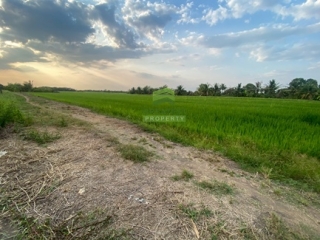 ที่ดินหนองเสือ คลอง14 ปทุมธานี