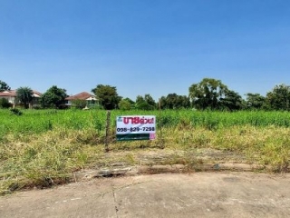  ขายที่ดิน หมู่บ้านเดอะลากูน The Lagoon สามโคก ปทุมธานี