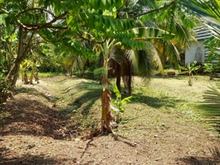 ขายที่ดิน บ้านสวน ต.บ้านปรก สมุทรสงคราม