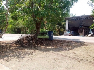 ขายที่ดิน บ้านสวน ต.บ้านปรก สมุทรสงคราม