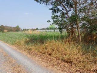 ขาย ที่ดินคลองห้า ตะวันออก30