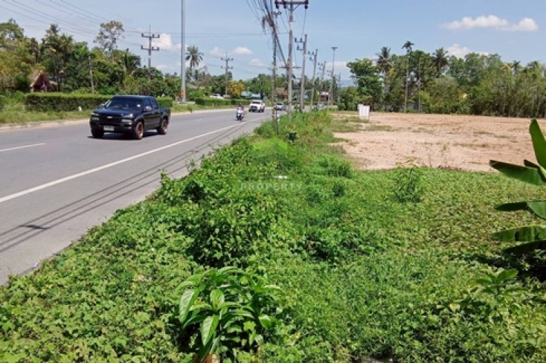 ขาย ที่ดินสะเตงนอก ยะลา