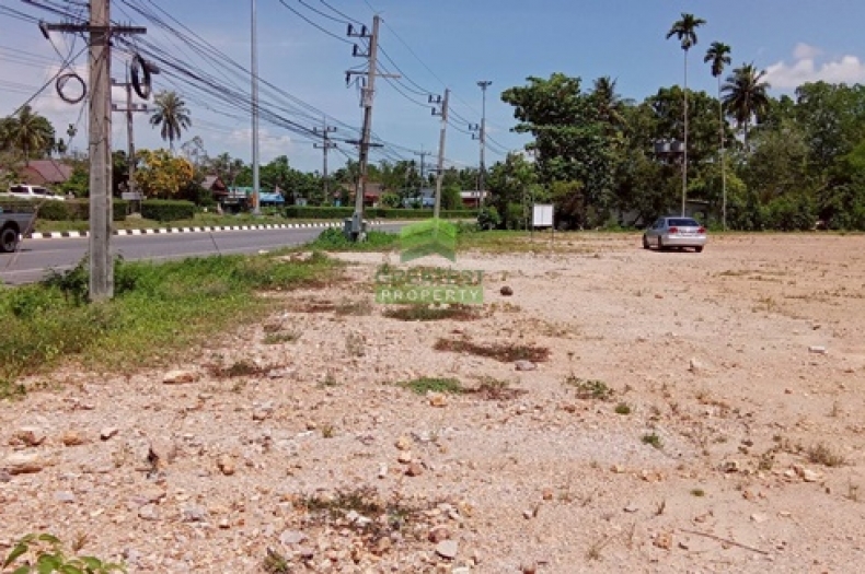 ขาย ที่ดินสะเตงนอก ยะลา