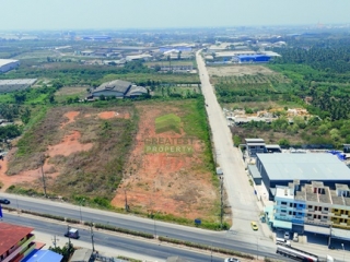 ที่ดินบ้านแพ้ว ชัยมงคล สมุทรสาคร 