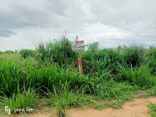 ที่ดินห้วยทรายเหนือ ชะอำ สร้างบ้าน