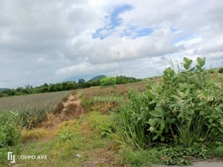 ที่ดินห้วยทรายเหนือ ชะอำ สร้างบ้าน