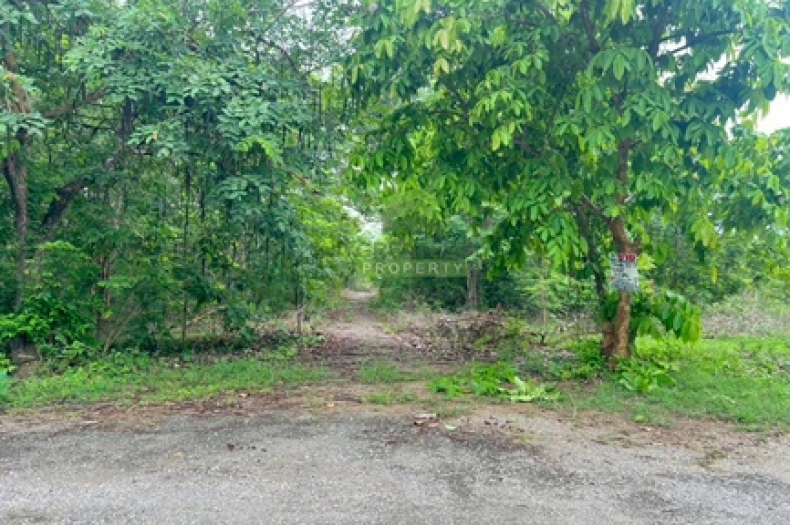 ที่ดินพุหวาย ห้วยทรายเหนือ ชะอำ