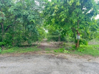 ที่ดินพุหวาย ห้วยทรายเหนือ ชะอำ