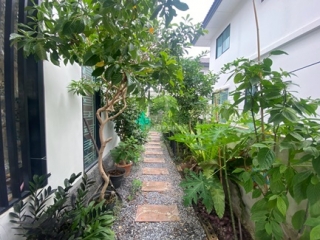 บริเวณบ้าน บ้านเดี่ยว เดอะทรัสต์ สุวรรณภูมิ