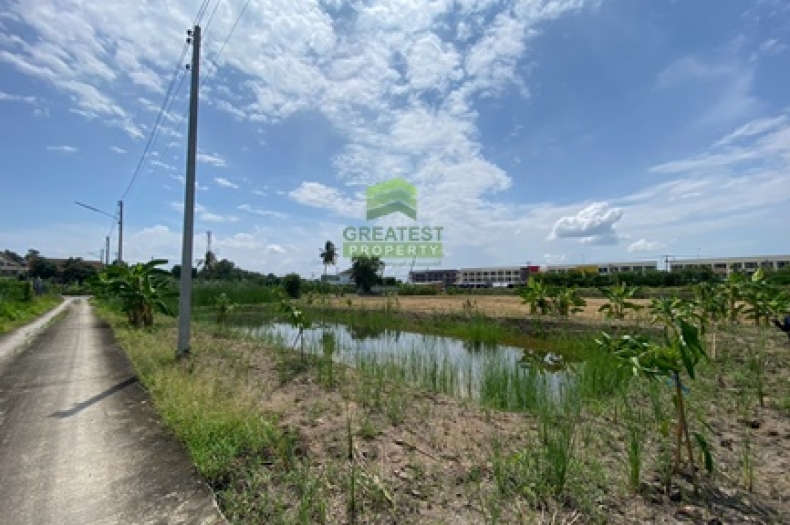 ที่ดินงิ้วรายติดถนนคอนกรีต