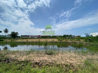 ที่ดินงิ้วรายติดถนนคอนกรีต