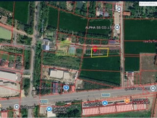 ที่ดินงิ้วรายติดถนนคอนกรีต